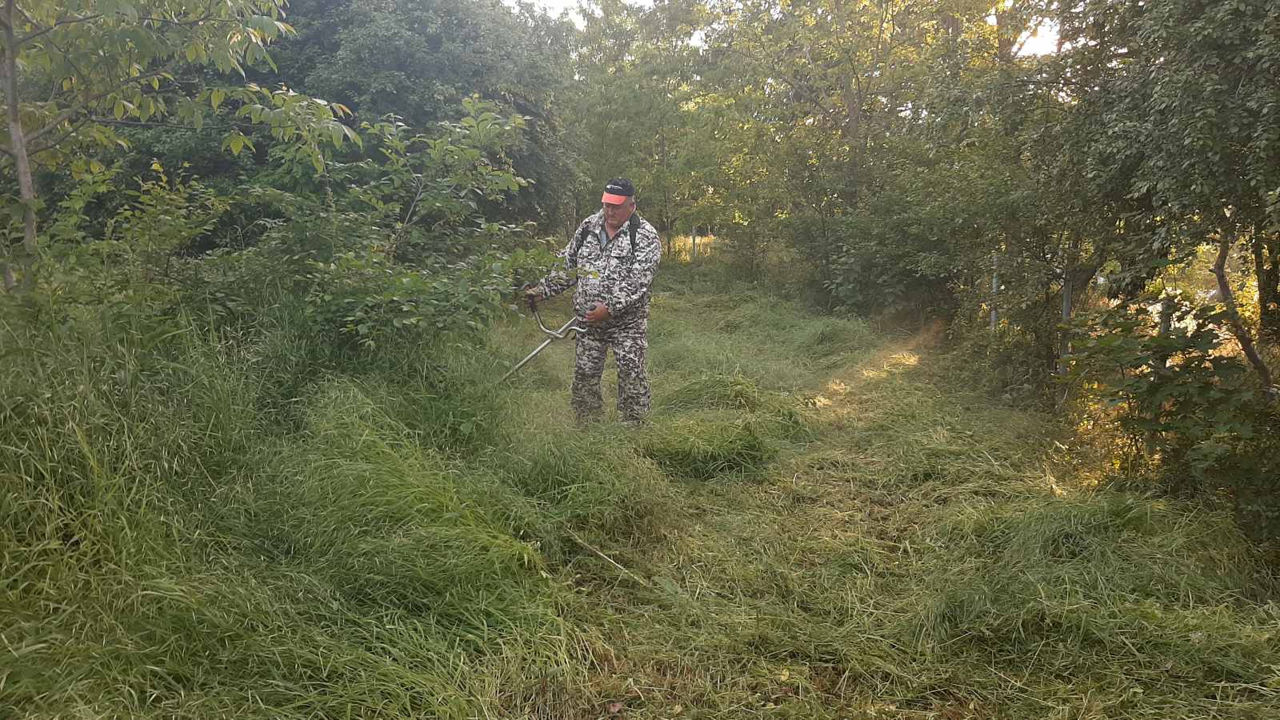 Curățare terenuri / pregătire pentru construcții, vânzare, etc. изображение 4