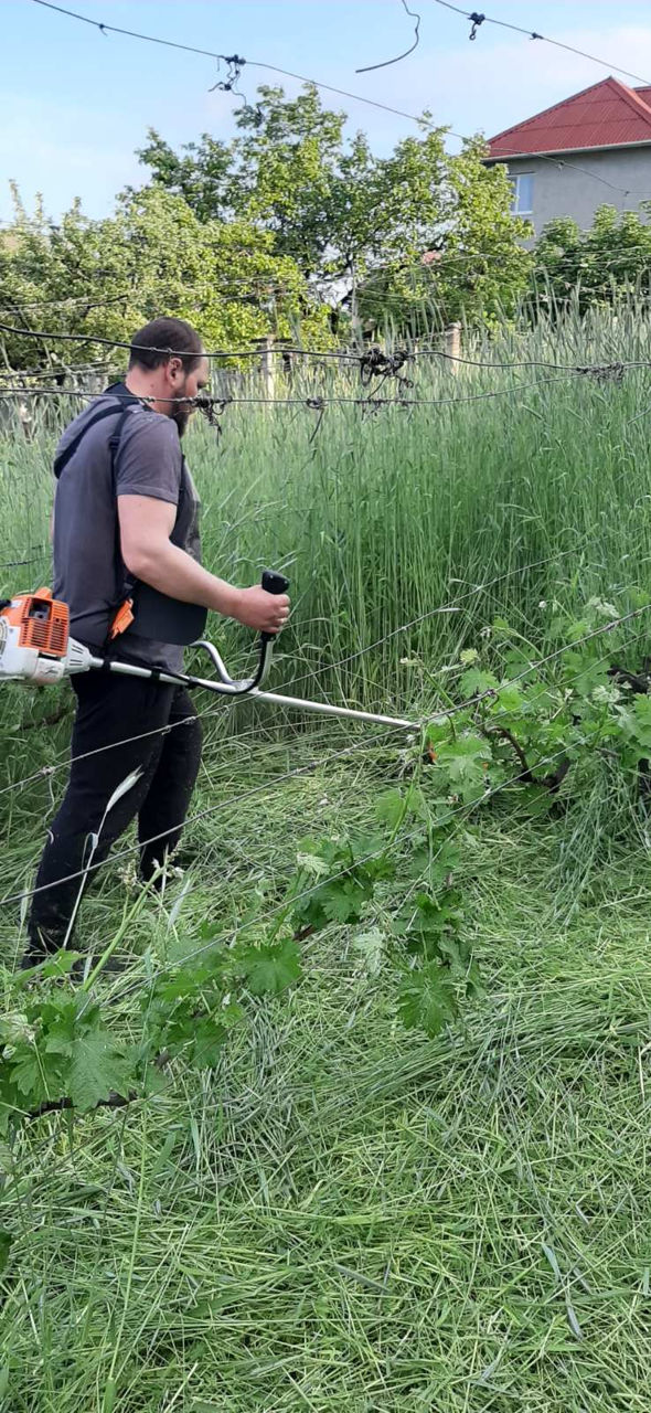 Curățare terenuri / pregătire pentru construcții, vânzare, etc. изображение 5