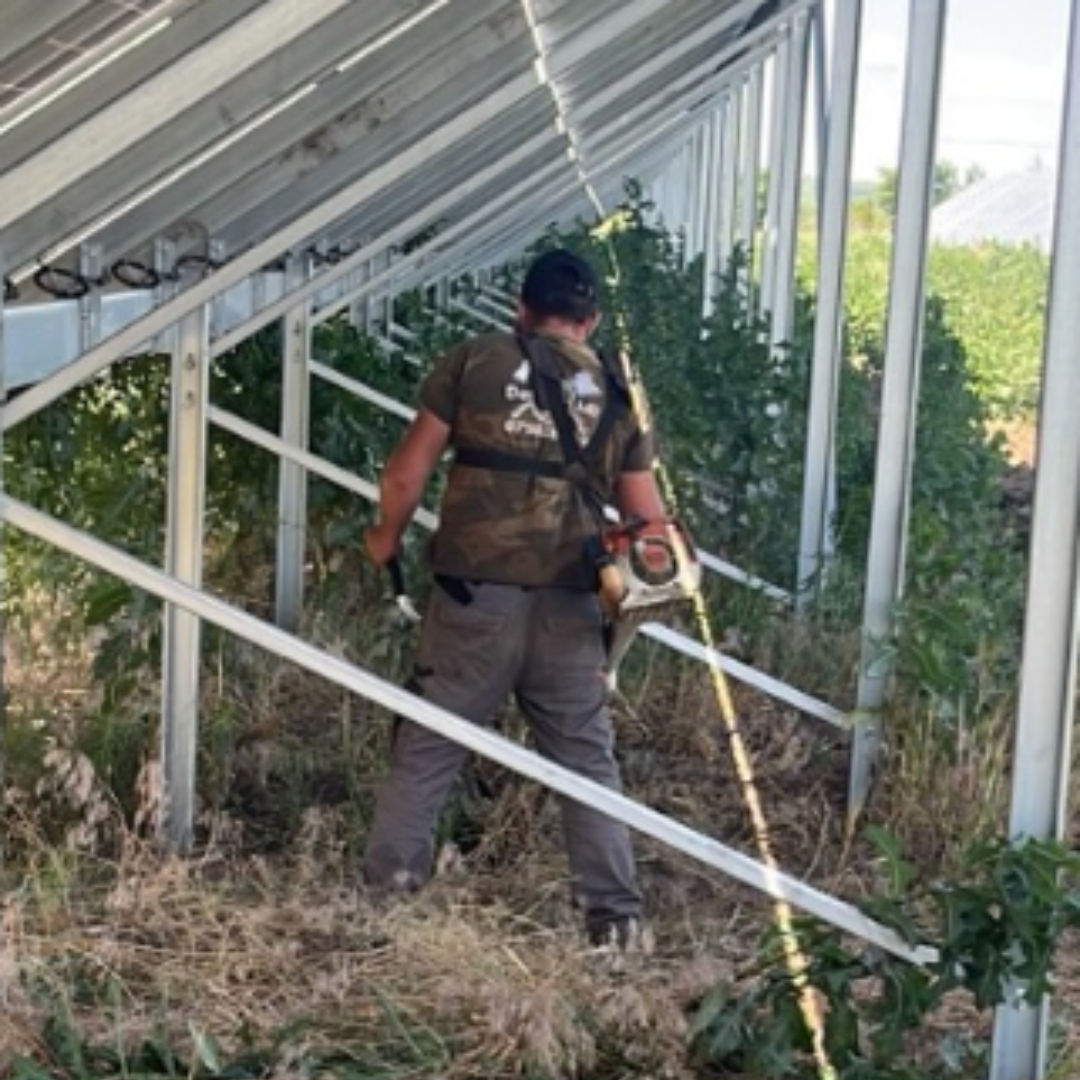 Curățare terenuri / pregătire pentru construcții, vânzare, etc. изображение 8