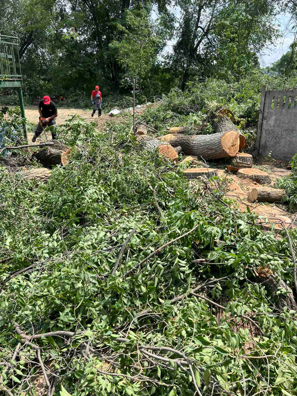 Curățare terenuri / pregătire pentru construcții, vânzare, etc. изображение 9