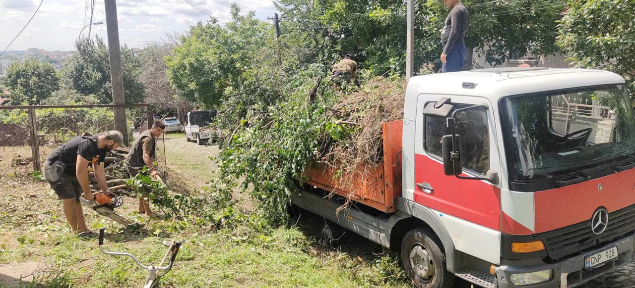 Curățare terenuri / pregătire pentru construcții, vânzare, etc. изображение 10