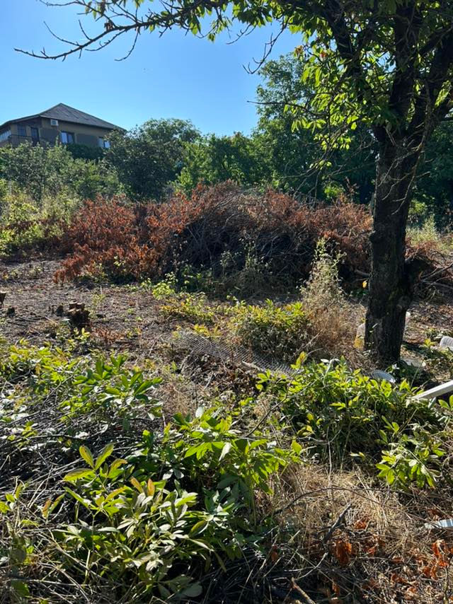 Curățare terenuri / pregătire pentru construcții, vânzare, etc. изображение 11