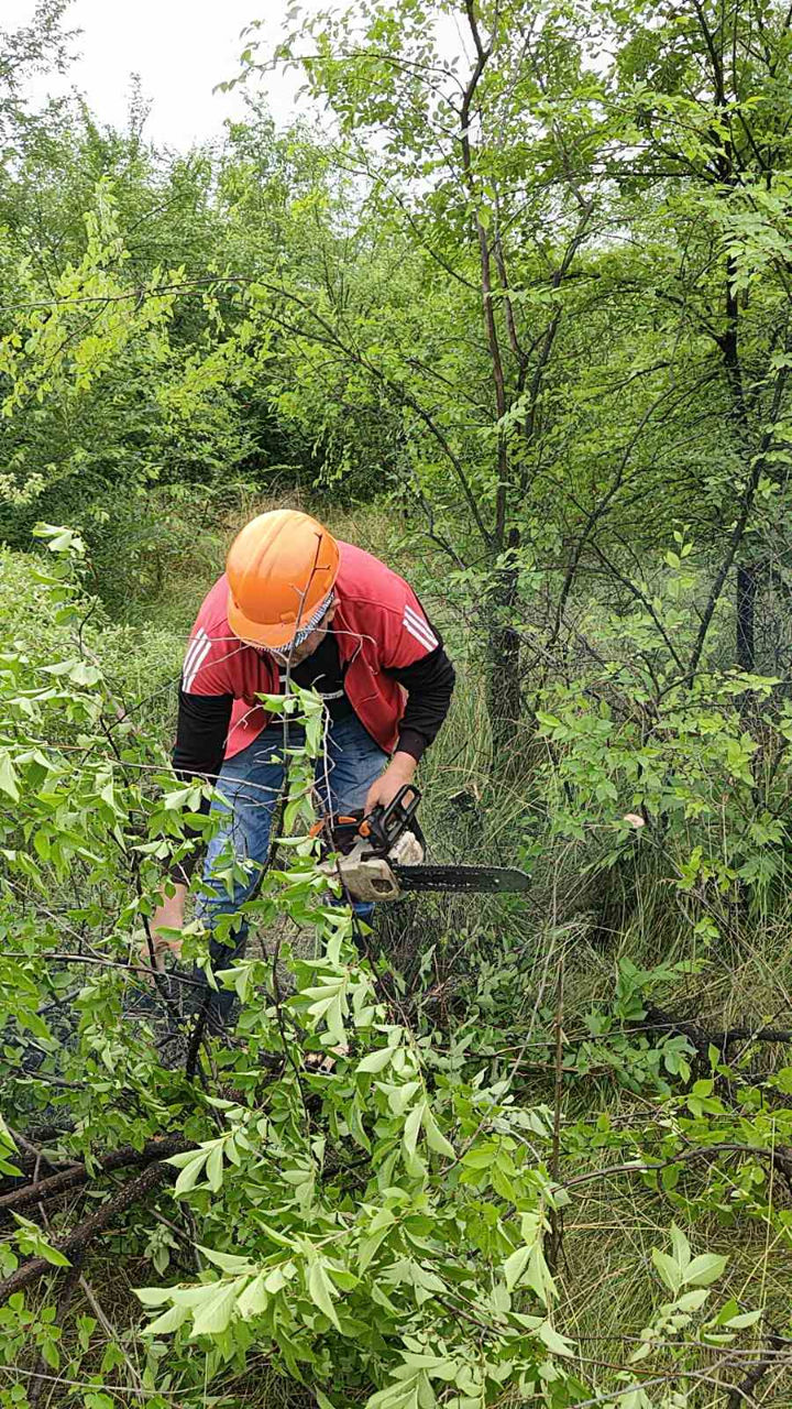 Curățare terenuri / pregătire pentru construcții, vânzare, etc. изображение 13