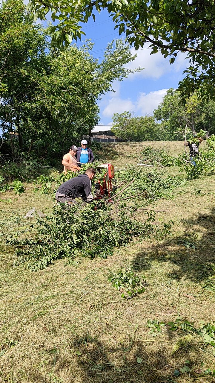 Curățare terenuri / pregătire pentru construcții, vânzare, etc. изображение 16