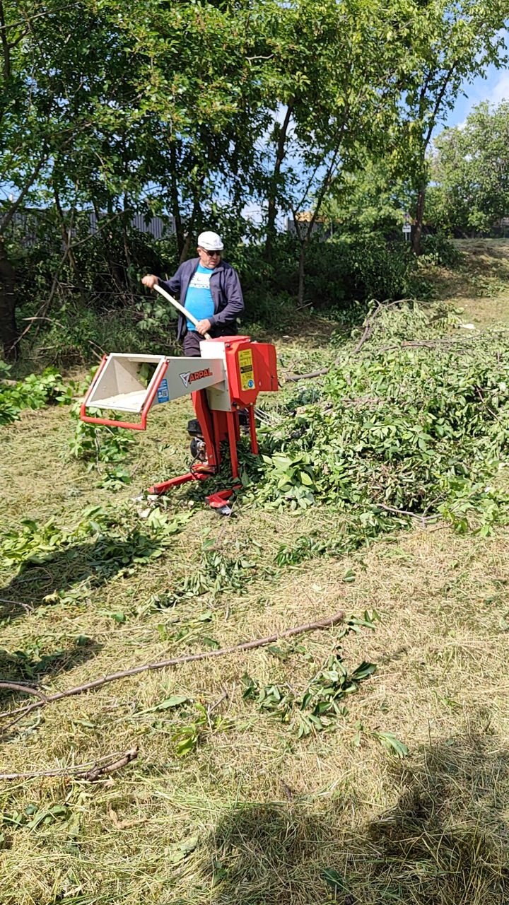 Curățare terenuri / pregătire pentru construcții, vânzare, etc. изображение 17
