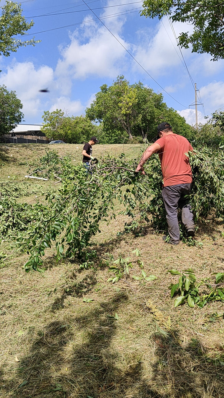 Curățare terenuri / pregătire pentru construcții, vânzare, etc. изображение 18