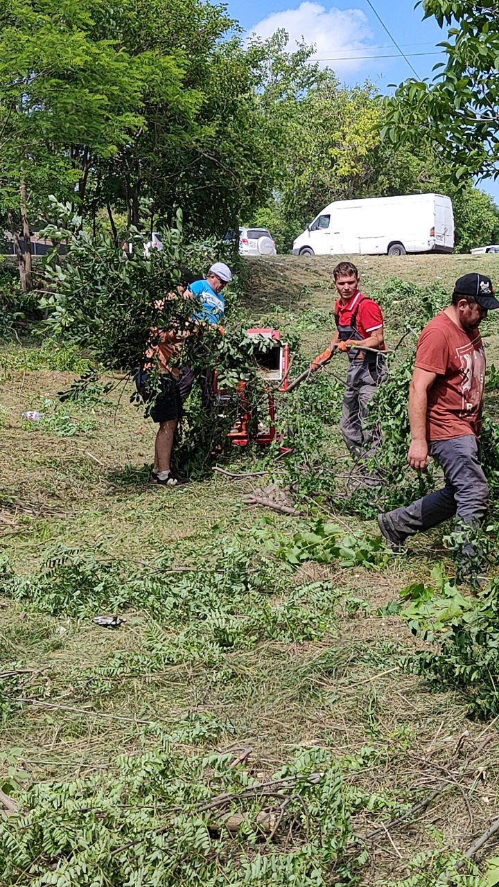 Curățare terenuri / pregătire pentru construcții, vânzare, etc. изображение 19