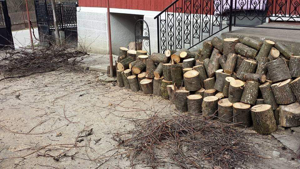 Curăţenie în curtea ta изображение 2