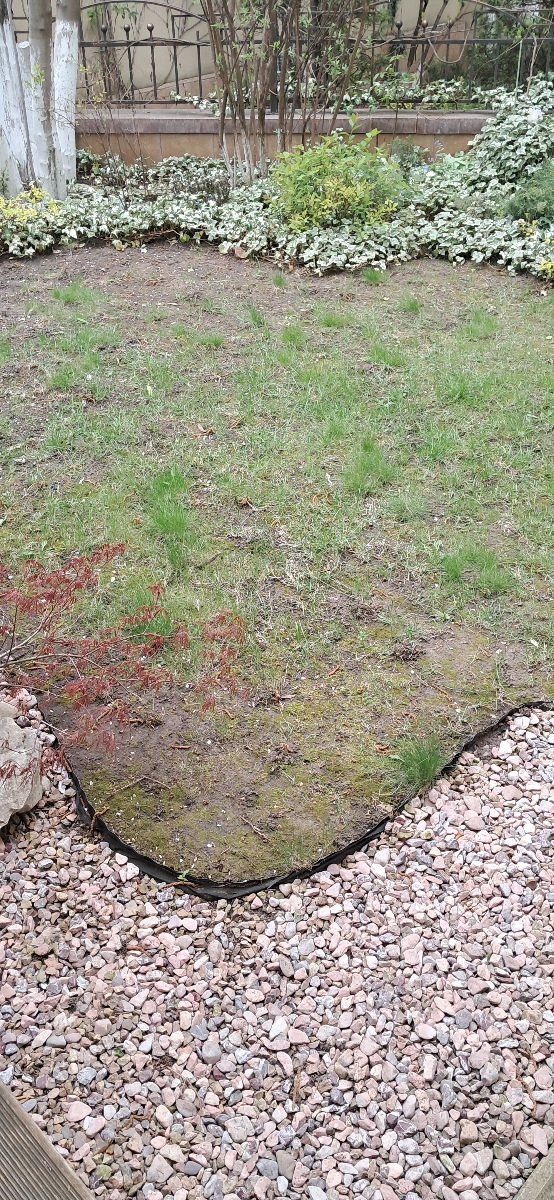 Curatenie in grădină,,plantare copaci,tuns iarba, semanat,sapat imagine 3