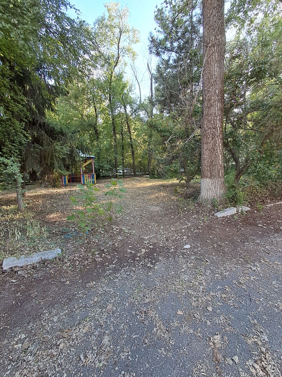 Curatenie in grădină,,plantare copaci,tuns iarba, semanat,sapat imagine 4