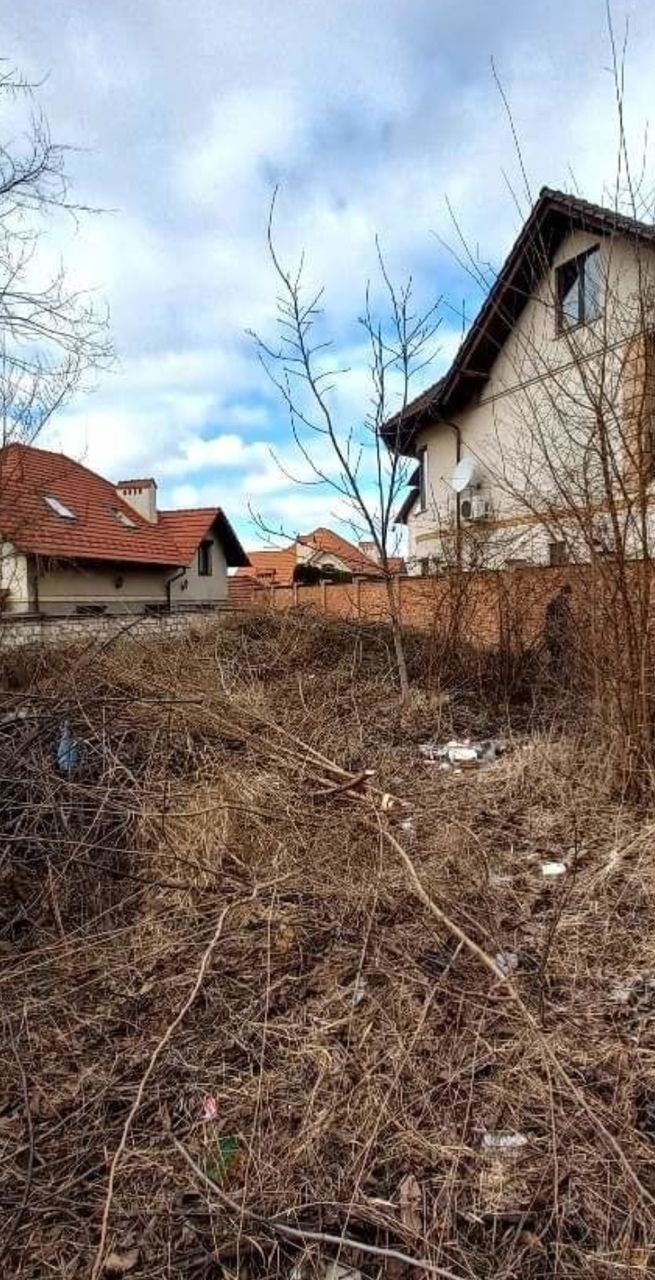 Defrisarea si Curatarea grădinilor благоустройство imagine 2