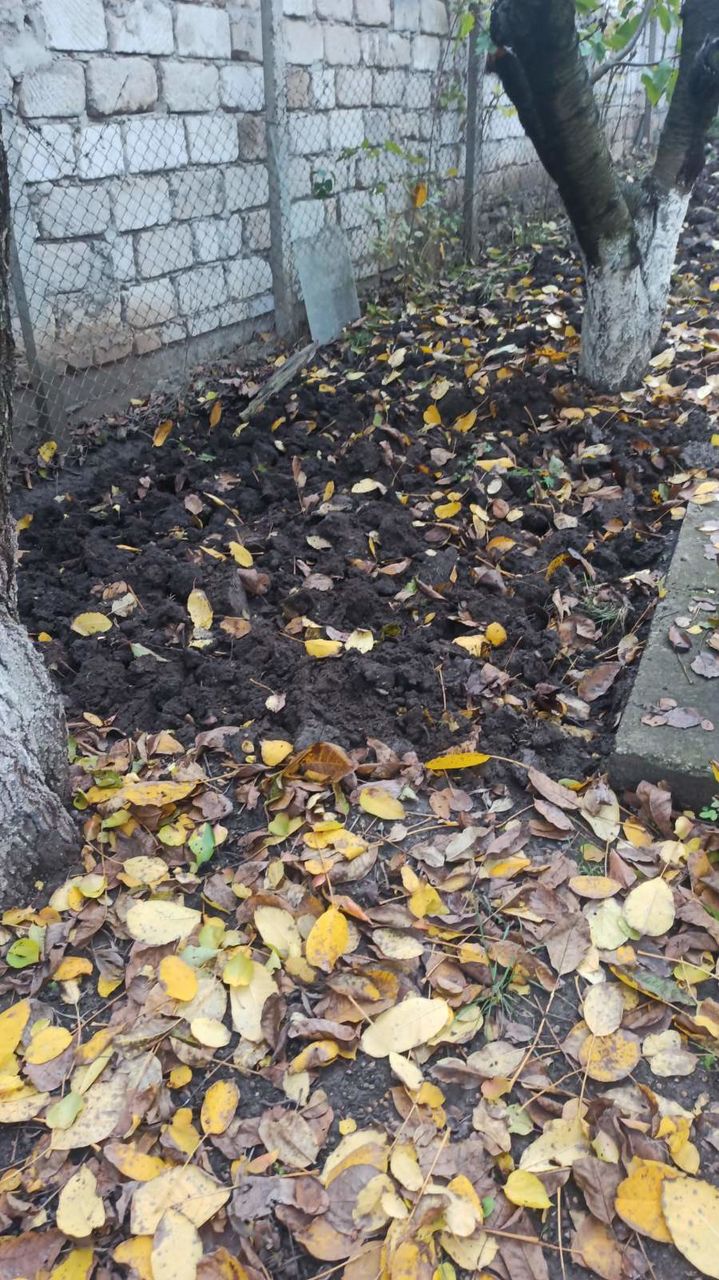 Efectuam lucrari de sapare imagine 5