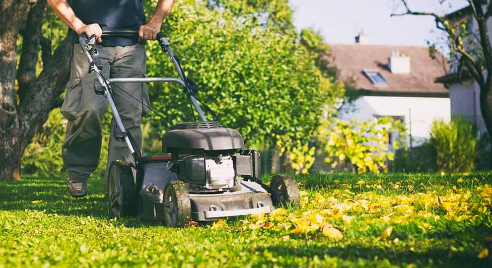 Grădinar.Curăţarea pomilor fructiferi. Обрезка плодовых деревьев.Услуги садовода. изображение 5