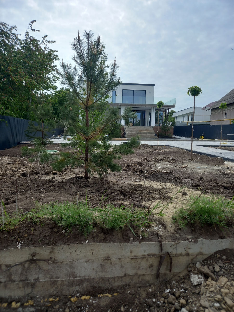 Oferim servicii de semanare a gazonului.Kalitativ imagine 4