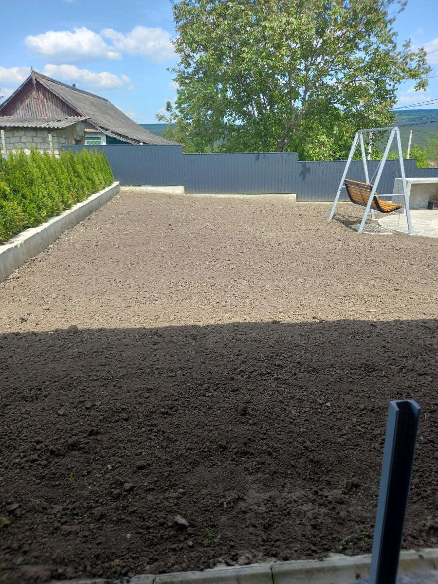 Oferim servicii de semanare a gazonului.Kalitativ imagine 8