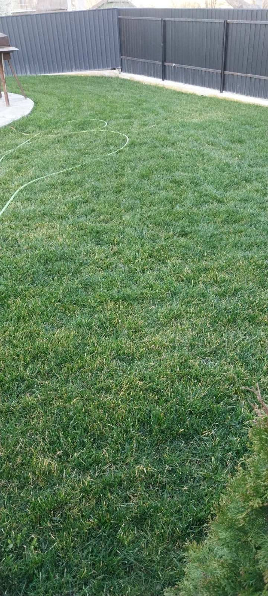 Oferim servicii de semanare a gazonului.Kalitativ imagine 9