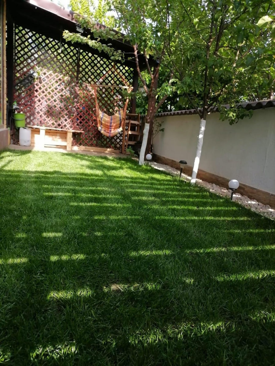 Oferim servicii de semanare a gazonului.Kalitativ imagine 10