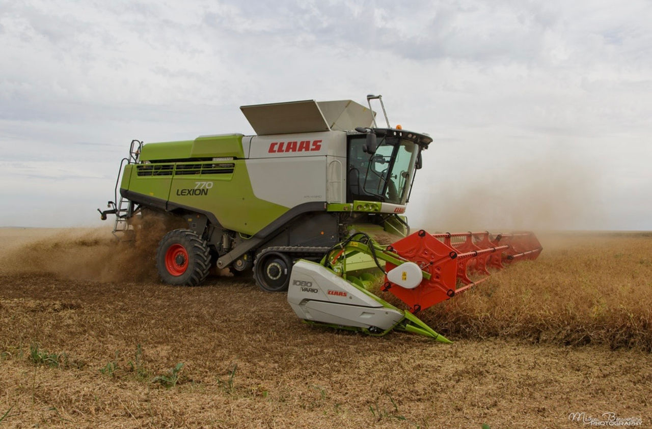 Recoltare изображение 3