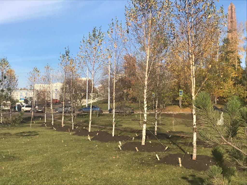 Sapam sadim facem curatenie imagine 3