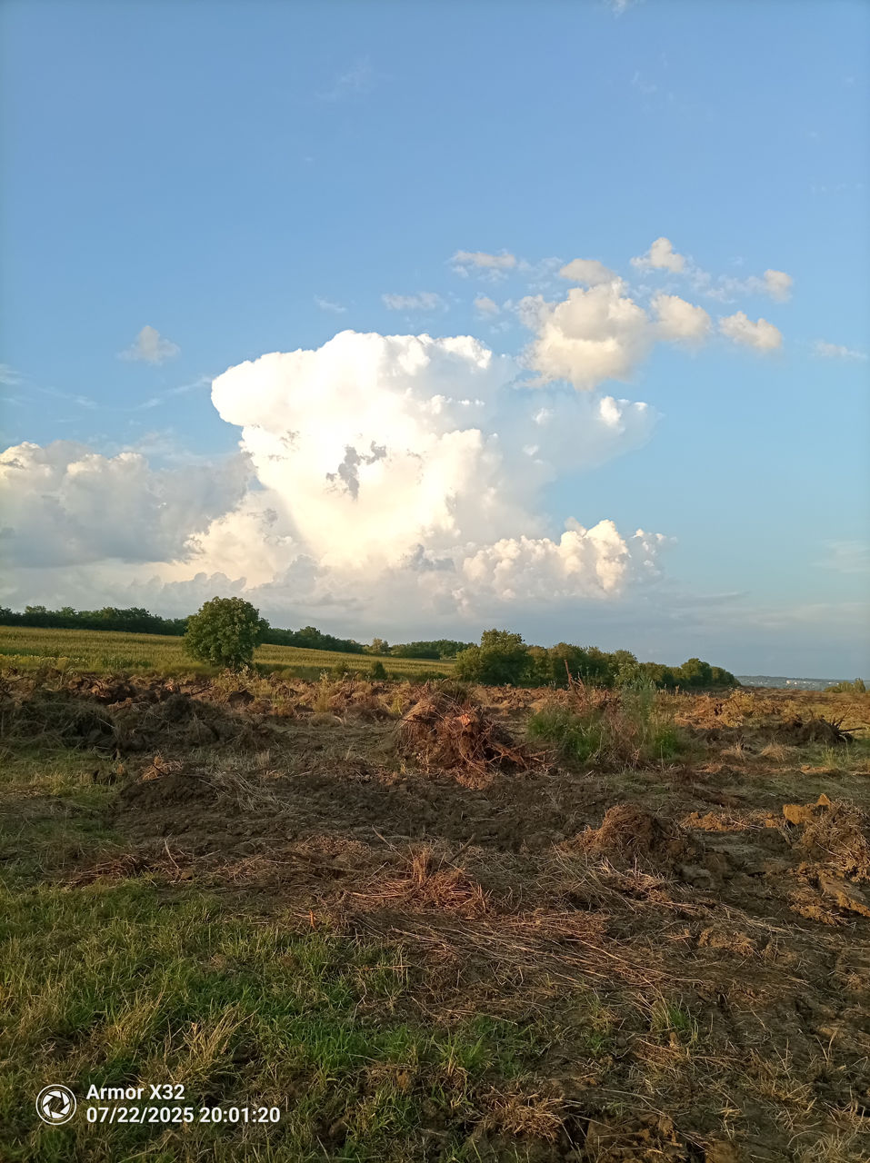 Servicii buldezer,poluplantaj, negociabil imagine 3