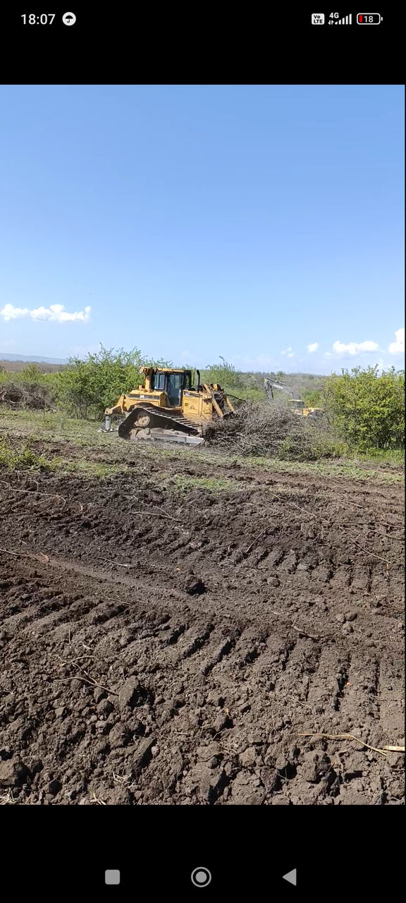 Servicii Buldozer ,defrișare,terasamente. imagine 2