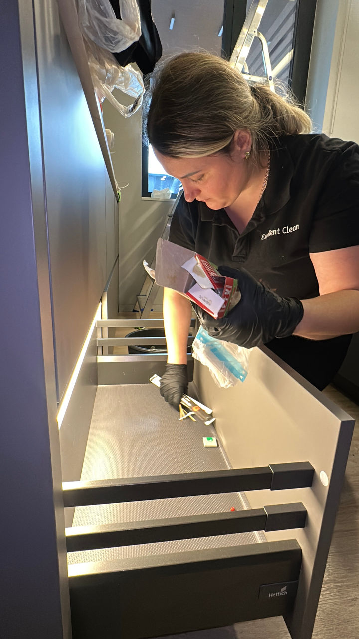 Servicii profesionale de curățenie imagine 11