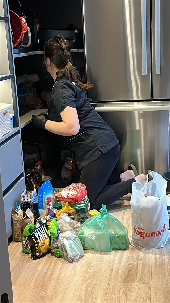 Servicii profesionale de curățenie imagine 12