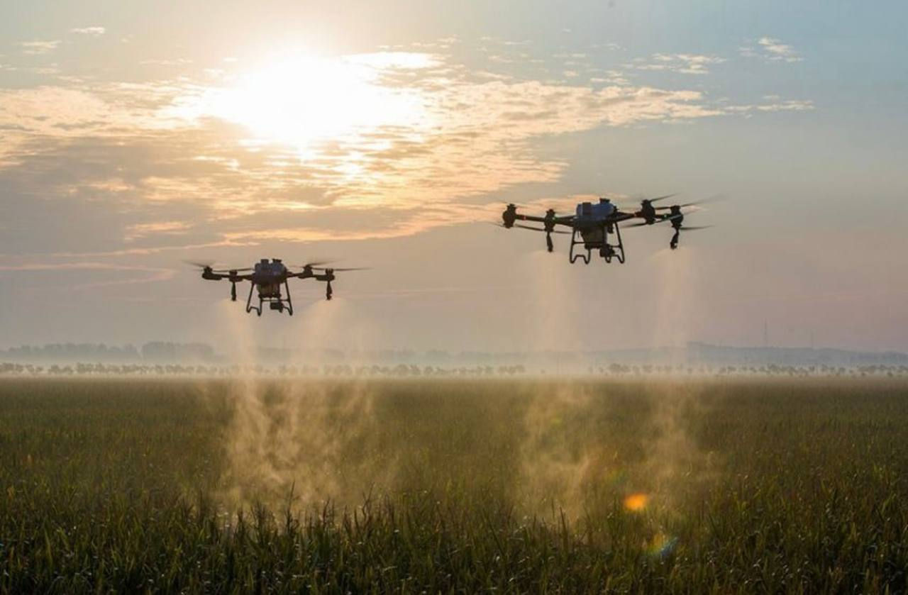 Servicii Profesionale de Stropire a Culturilor Agricole cu Drone Agricole DJI în Moldova! imagine 3