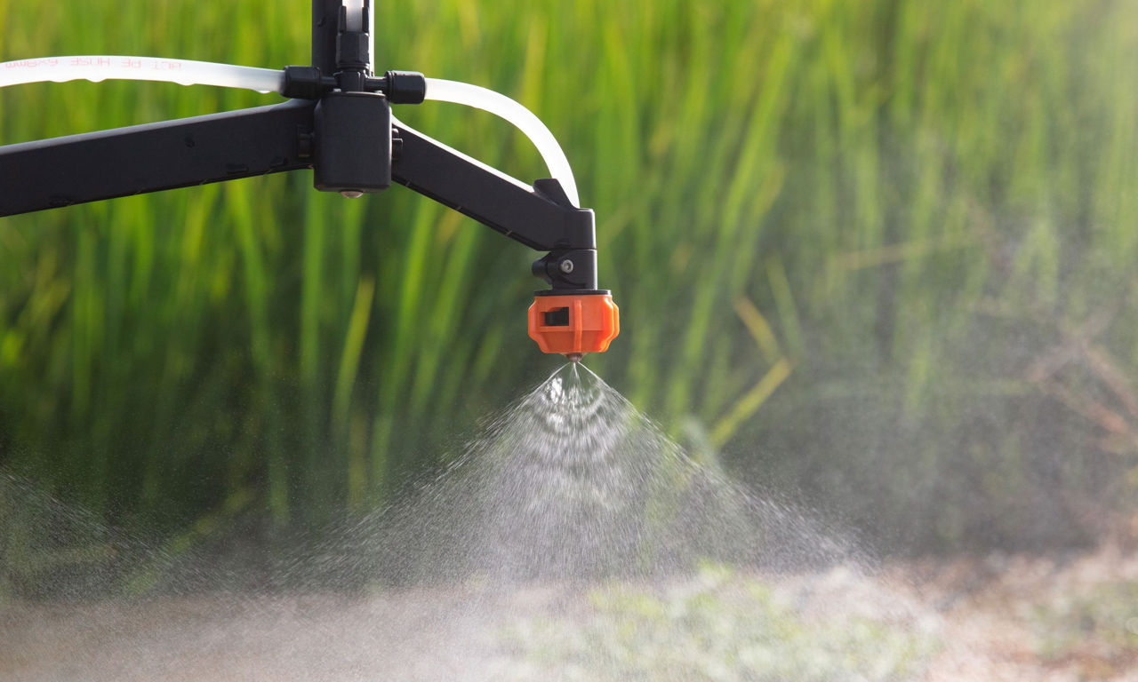 Stropire culturi cu Drone Agricole imagine 3