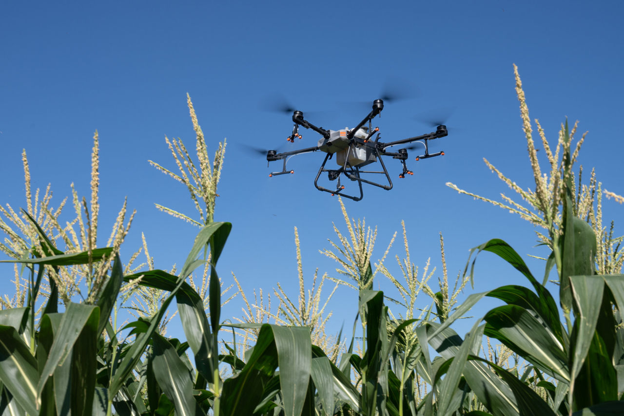 Stropire culturi cu Drone Agricole imagine 5