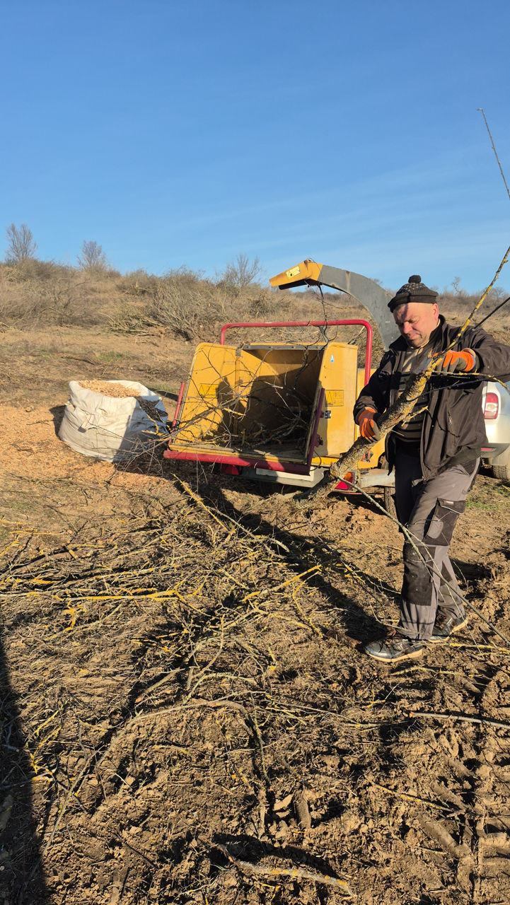 Tocator de crengi și copaci, servicii. изображение 2