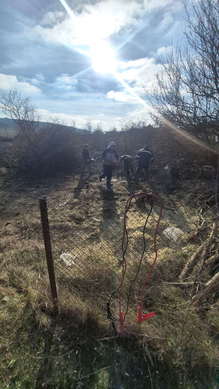 Tocator de crengi și copaci, servicii. изображение 3