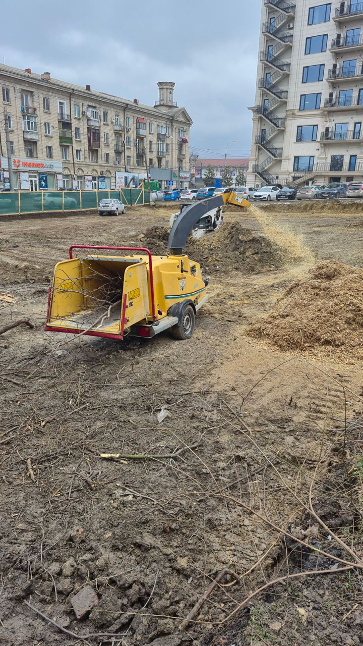 Tocator de crengi și copaci, servicii. изображение 4